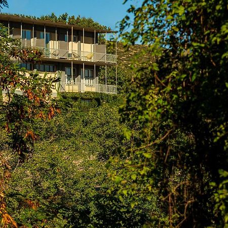 Theoxenia Hotel Andritsaina Zewnętrze zdjęcie
